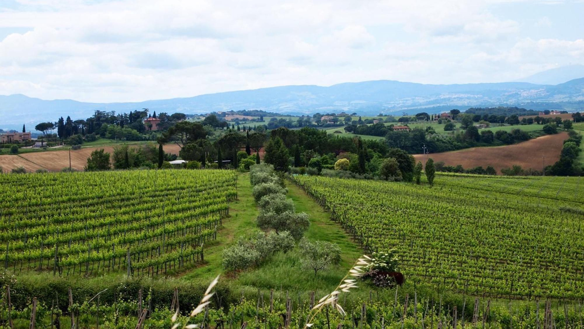 Agriturismo La Terra Valiano Exterior photo