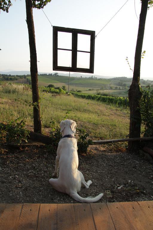 Agriturismo La Terra Valiano Exterior photo